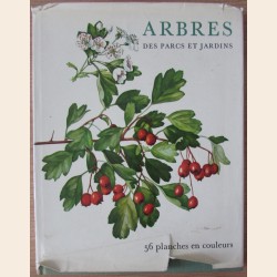 Arbres des parcs et jardins